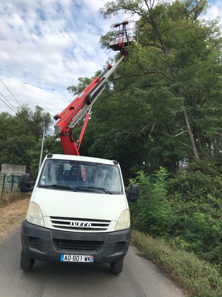 élagage d'arbres à Toulouse
